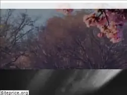 Sites similar to northernvirginiasmiles.com