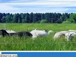 Sites similar to northstarhomestead.com