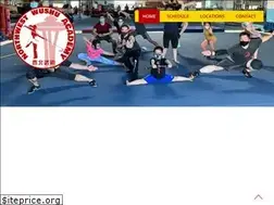 Sites similar to northwestwushu.com