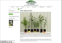 Sites similar to northwoodsnursery.com