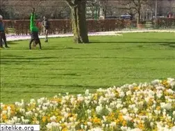 Sites similar to norwaytalk.com