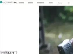 Sites similar to norwegianstyle.jp