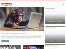 Sites similar to nosabesnada.com