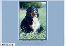 Sites similar to nosbernois.com