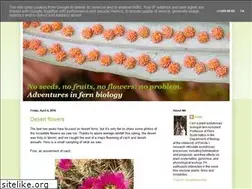 Sites similar to noseeds.blogspot.com