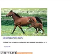 Sites similar to noticaballos.com