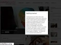 Sites similar to notonlyistanbul.com