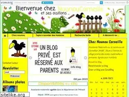Sites similar to nounoucorneille.canalblog.com