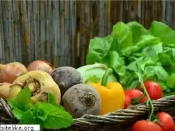 Sites similar to nourishtaos.com