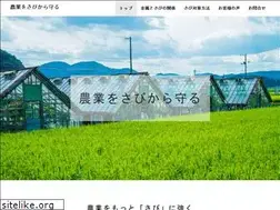 Sites similar to nousabi.com
