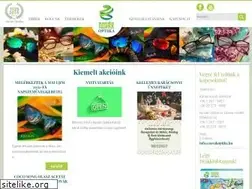 Sites similar to novakoptika.hu