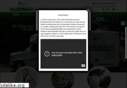 Sites similar to novamobilevet.com