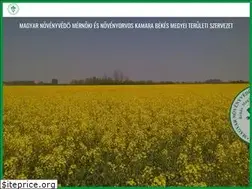 Sites similar to novenyorvosbekes.hu