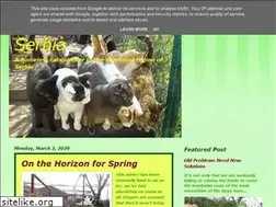 Sites similar to novisadcats.blogspot.com