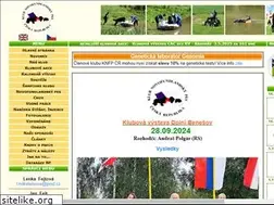 Sites similar to novofundland.eu