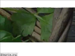 Sites similar to novolit.com.ua