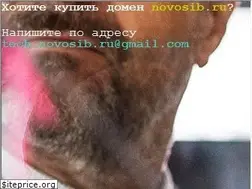 Sites similar to novosib.ru