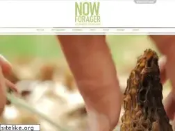 Sites similar to nowforager.com