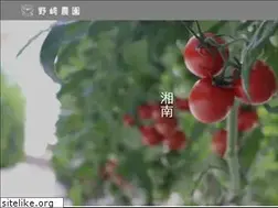 Sites similar to nozakinouen.com