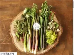 Sites similar to nozawa-denbey.com