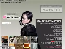 Sites similar to nozawa.co.jp