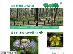 Sites similar to npo-komorebi.com