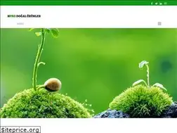 Sites similar to npro.com.tr