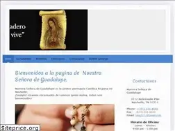 Sites similar to nsdeguadalupe.org