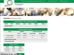 Sites similar to nsenli.com
