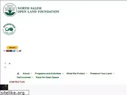 Sites similar to nsolf.org