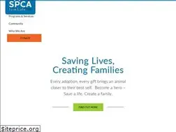 Sites similar to nsspca.website