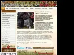 Sites similar to nstarmagazine.com