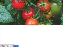 Sites similar to ntmthu.weebly.com