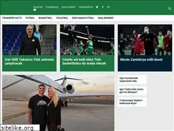 Sites similar to ntvspor.com