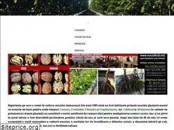 Sites similar to nucialtoiti.md