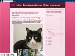 Sites similar to nukhetgokaltay.blogspot.com