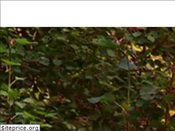 Sites similar to nulifeventures.com