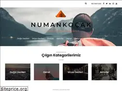 Sites similar to numankocak.com