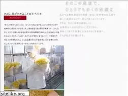 Sites similar to numatakinokoen.jp