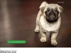 Sites similar to numberstudios.com