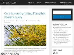 Sites similar to nurdian.com