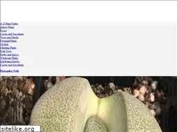 Sites similar to nurseriesonline.com