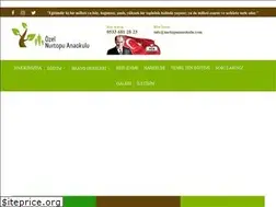 Sites similar to nurtopuanaokulu.com
