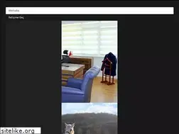 Sites similar to nurullah.net