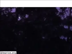 Sites similar to nuts-camp.com