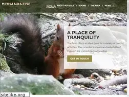 Sites similar to nutstile.com
