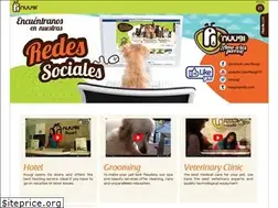 Sites similar to nuugi.com