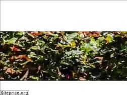 Sites similar to nvalandscaping.com