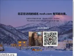 Sites similar to nvzh.com