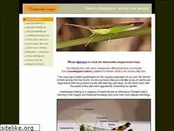 Sites similar to nwiassoc.com